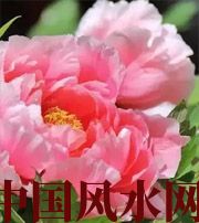 云浮预示你财运上升，姻缘可成的梦境，快来看看吧！