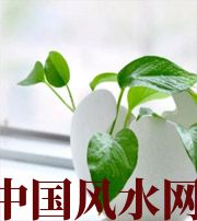 云浮家中摆放六种吉祥物，会打开您的财运大门！
