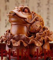 云浮解读金蟾最合适的位置，这样摆放更招财！