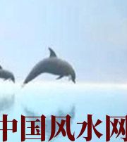 云浮做梦梦到这些，是要富裕的征兆！